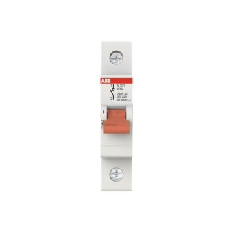 ABB Trennschalter 1P            E201/80G 