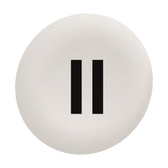 Schneider Tastenschild weiss II  ZBAF136 