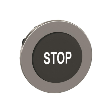 Schneider Frontelement          ZB4FL234 