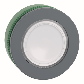 Schneider Drucktaster Front-     ZB5FA18 