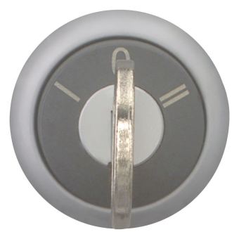 EATON M22-WRS3 Schlüsseltaste     216900 