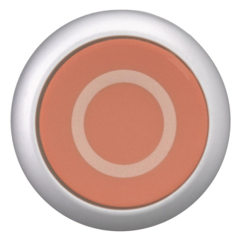 EATON M22-D-R-X0 Drucktaste flach 216605 