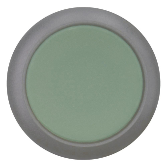 EATON M22S-D-G Drucktaste flach   216597 