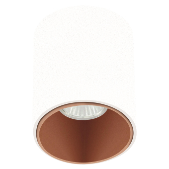 EGLO Polasso Pro Deckenleuchte     62254 