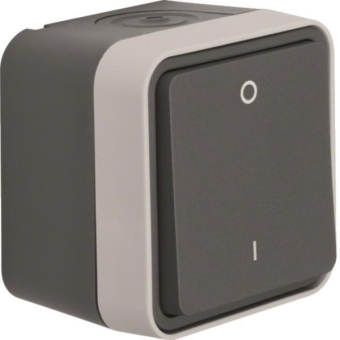 Berker Ausschalter 2-polig      30723505 