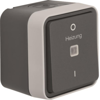 Berker Kontroll-Ausschalter m.  35623505 