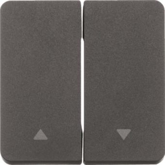 Berker Wippe 2fach m.Aufdruck   30753535 