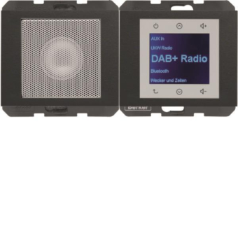 Berker Radio Touch              30807006 