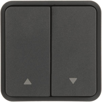 Berker Wippe 2f                 30653565 