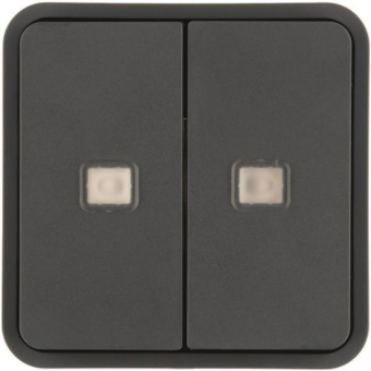 Berker Wippe 2fach.für W.1      30863555 