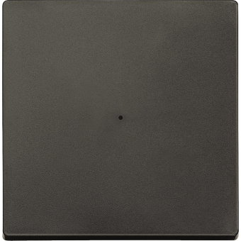 Merten Wippe f.Tastermodul 1fach  625114 