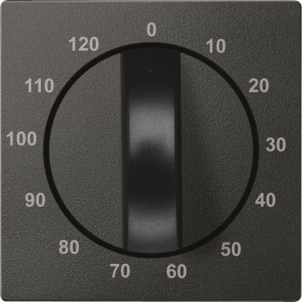 Merten Zentralplatte f.Zeitschal. 539214 