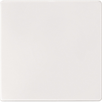 Merten Sensorfläche polarweiß     573819 