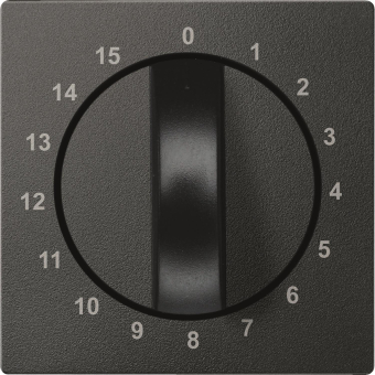 Merten Zentralplatte f.Zeitschal. 539014 