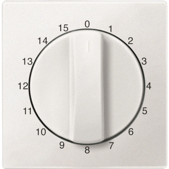 Merten Zentralplatte f.Zeitschal. 539019 