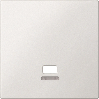 Merten Zentralplatte m.Ko.- MEG3380-0419 