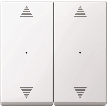 Merten Wippe f.Tastermodul 2fach  619725 