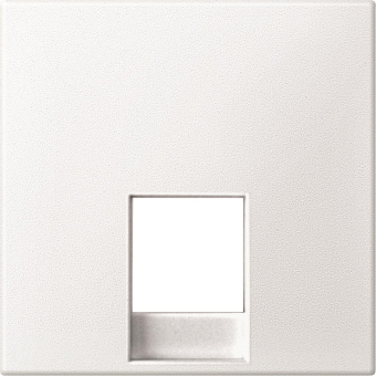 Merten Zentralplatte        MEG4211-0419 