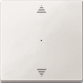 Merten Wippe f.Tastermodul 1fach  625519 