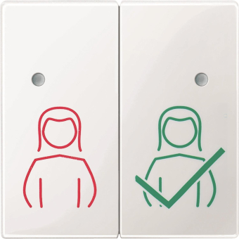 Merten Tastfläche 2fach     MEG4842-0319 