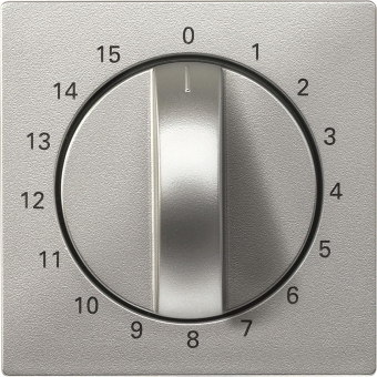 Merten Zentralplatte f.Zeitschal. 539060 