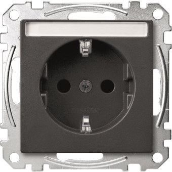 Merten SCHUKO-Steckdose BRS MEG2302-0414 