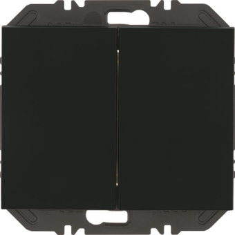 Berker Friends of Hue Tasten    24127036 