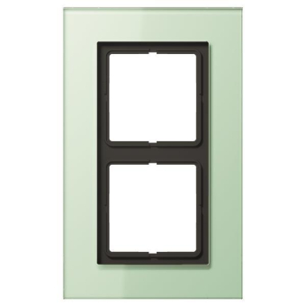 JG Rahmen 2fach Glas          LSP982GLAS 