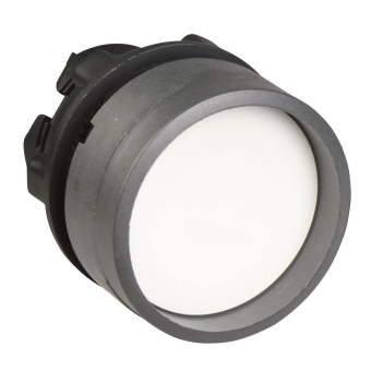 Schneider Drucktaster, Front,  ZB5AA16C0 