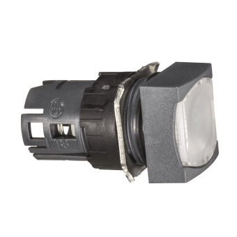 GS Leuchtdrucktaste WS            ZB6CW1 