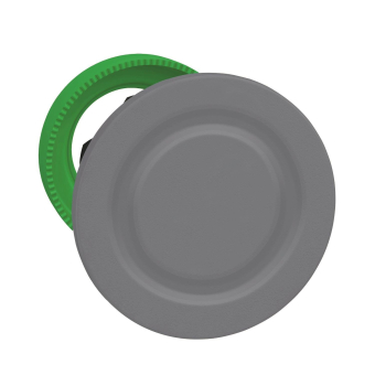 Schneider Blindstopfen, Front, ZB5FSZ3C0 