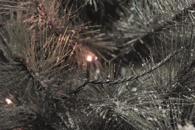 LED-Microkette Außen 200er      3613-800 