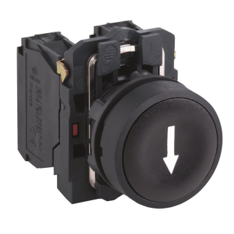 GS DRUCKTASTER FL.,SW          XB5AA3351 