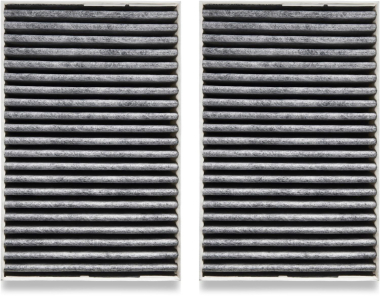 Miele DKF31-P Aktivkohlefilter 