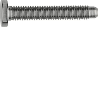 ELCOM Schraube Spezial ZY M5x42  REH126Y 