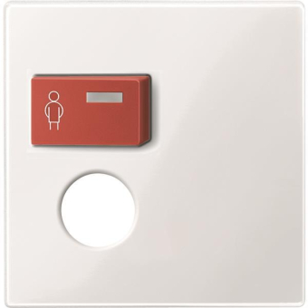 Merten Zentralplatte f.Rufmodul+  450219 