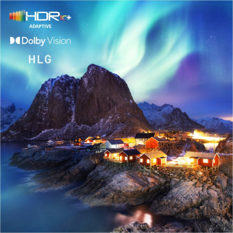 Panasonic TV-48Z80BEZ sw OLED-TV 