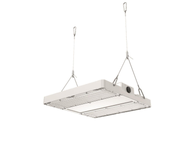 DOTLUX                       6230-040085 