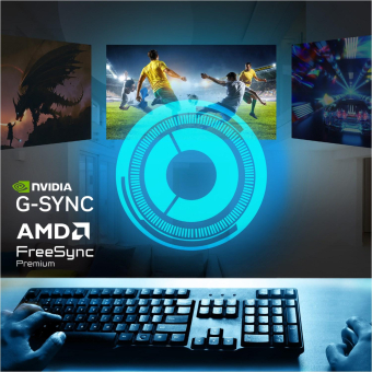 Panasonic TV-55W95BEG sw Mini LED-TV 