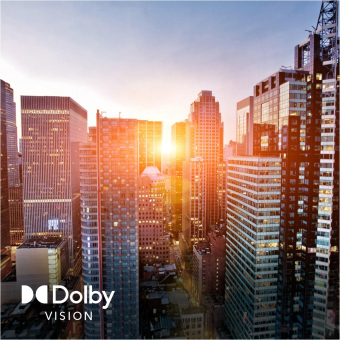 Panasonic TB-50W61AEZ sw LED-TV 