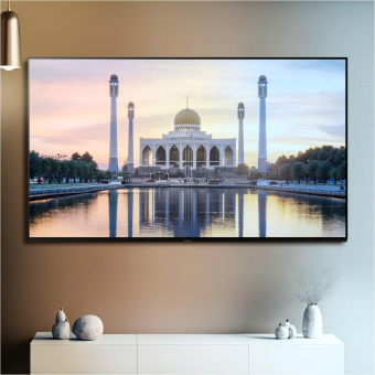 Panasonic TV-42Z90BE6 sw OLED-TV WFexkl 