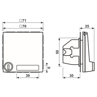 Jung SCHUKO-Steckdose  AL 1520 NAKLSL AN 