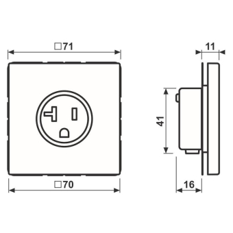 Jung Steckdose US-Norm NEMA AL 2521-20 D 