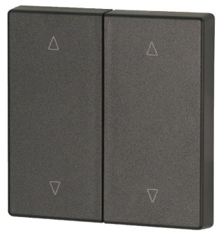 EATON CWIZ-02/24 Wippe 2fach      147620 