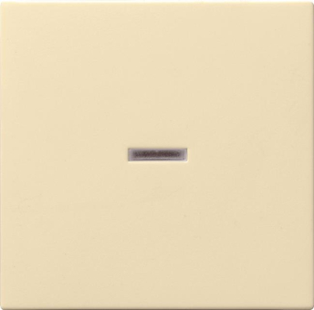 GIRA 029001 Wippe Kontrollfenster 