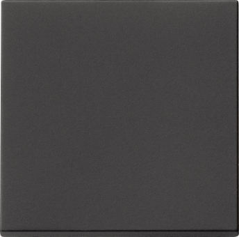 GIRA 0916005 Wippe Tastschalter 