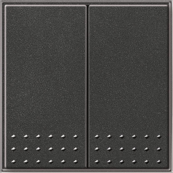 GIRA 012867 Tastschalter Wechselschalter 