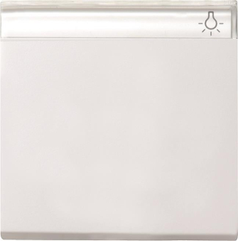 GIRA 029927 Wippe Beschriftungsfeld 