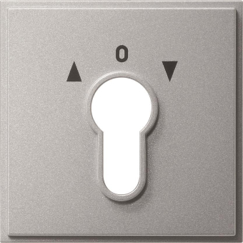 GIRA 066465 Abdeckung Schlüsselschalter 