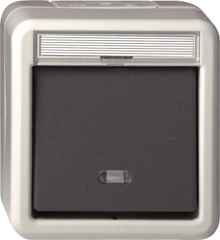 GIRA 010731 Wippschalter Kreuz BSF WD AP 